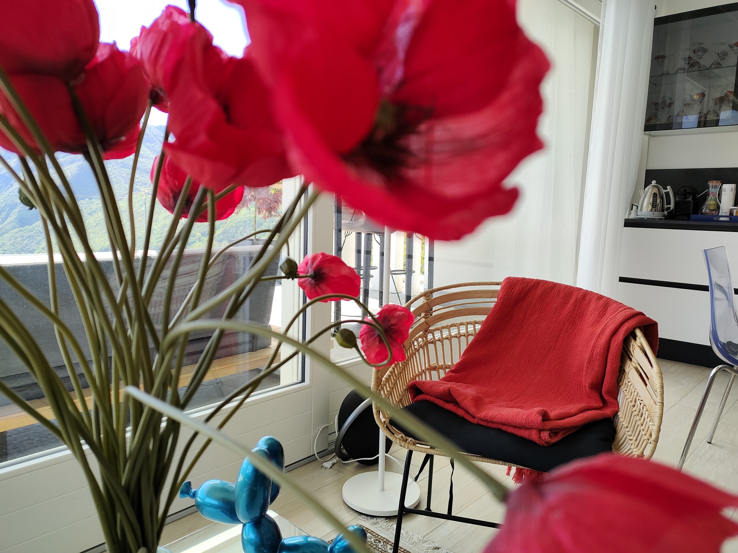 Bright red flowers in foreground with a stunning Lake Iseo view and a relaxing terrace in the background