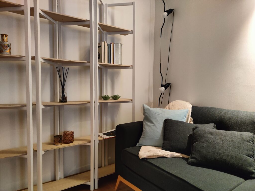 A cozy corner in Lakeview Apartment's living room with a contemporary sofa and minimalist white shelves filled with life's little comforts