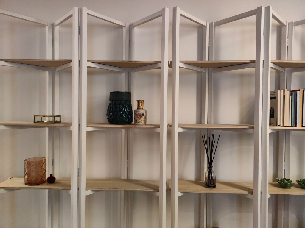 Minimalist shelving in Lakeview Apartment, adorned with tasteful decorations such as books, vases, and succulents