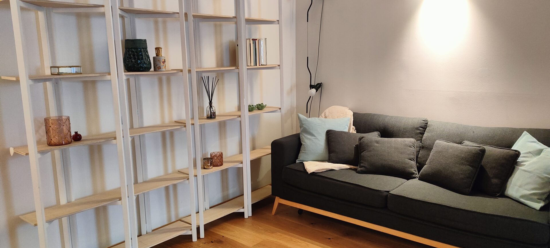 Cozy modern living room with white bookshelves and comfortable gray sofa, illuminated by natural light