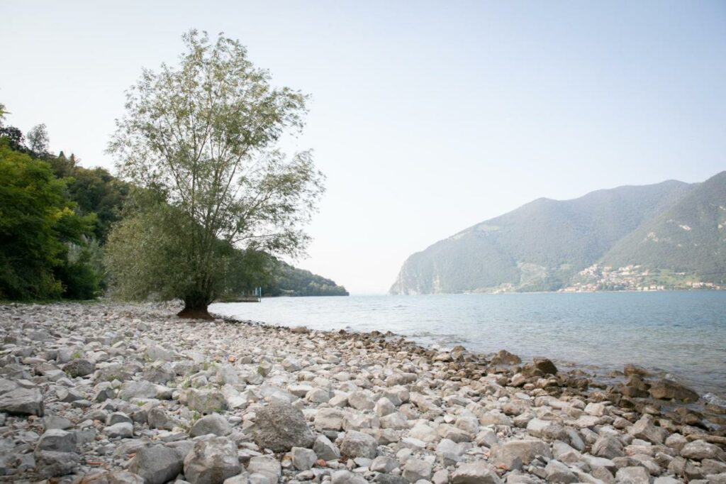 Peaceful lakeshore with pebbles and a solitary tree near La Stallina Penthouse, Lake Iseo